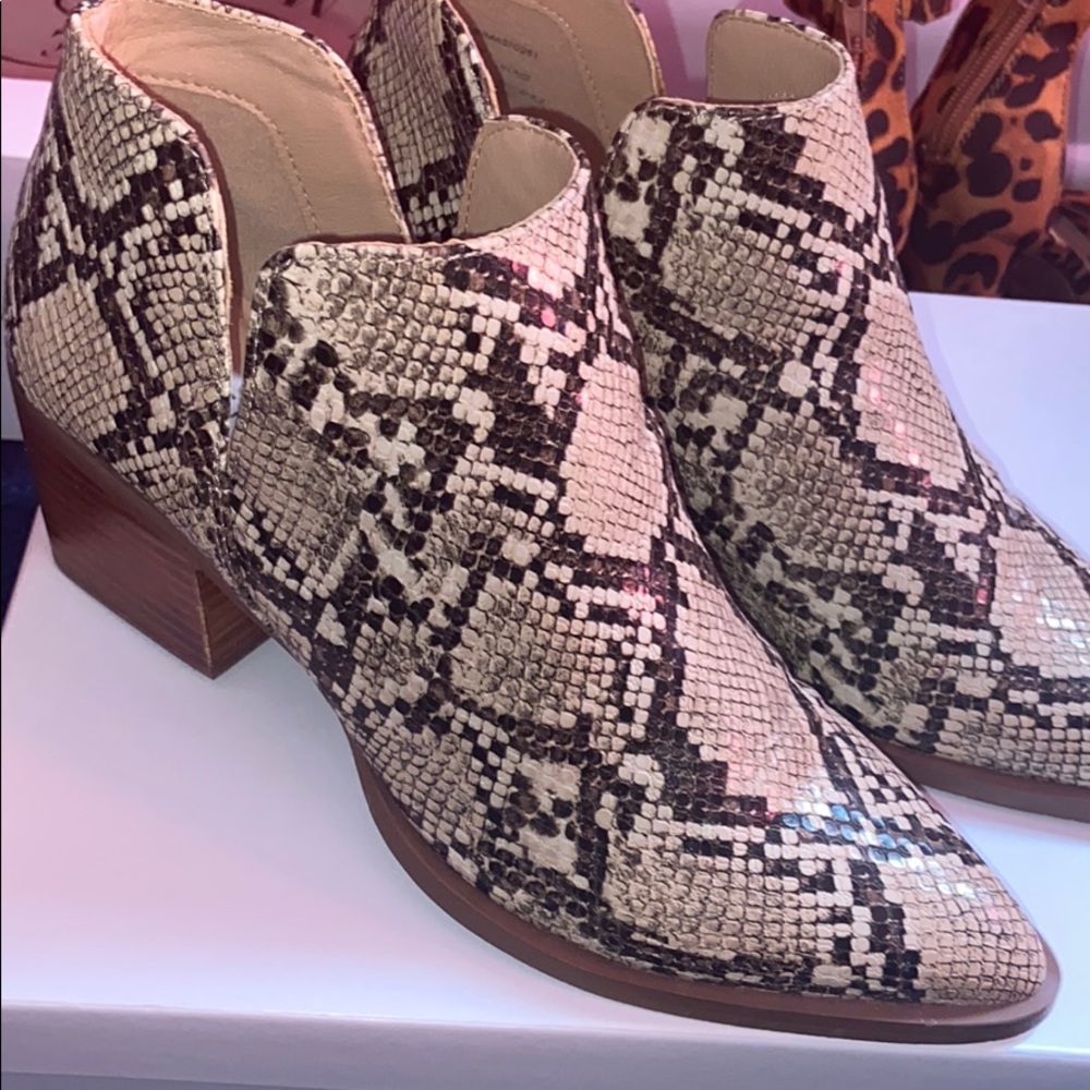 Snake print, fall time 🍁🍂🍃 Steve Madden dealer